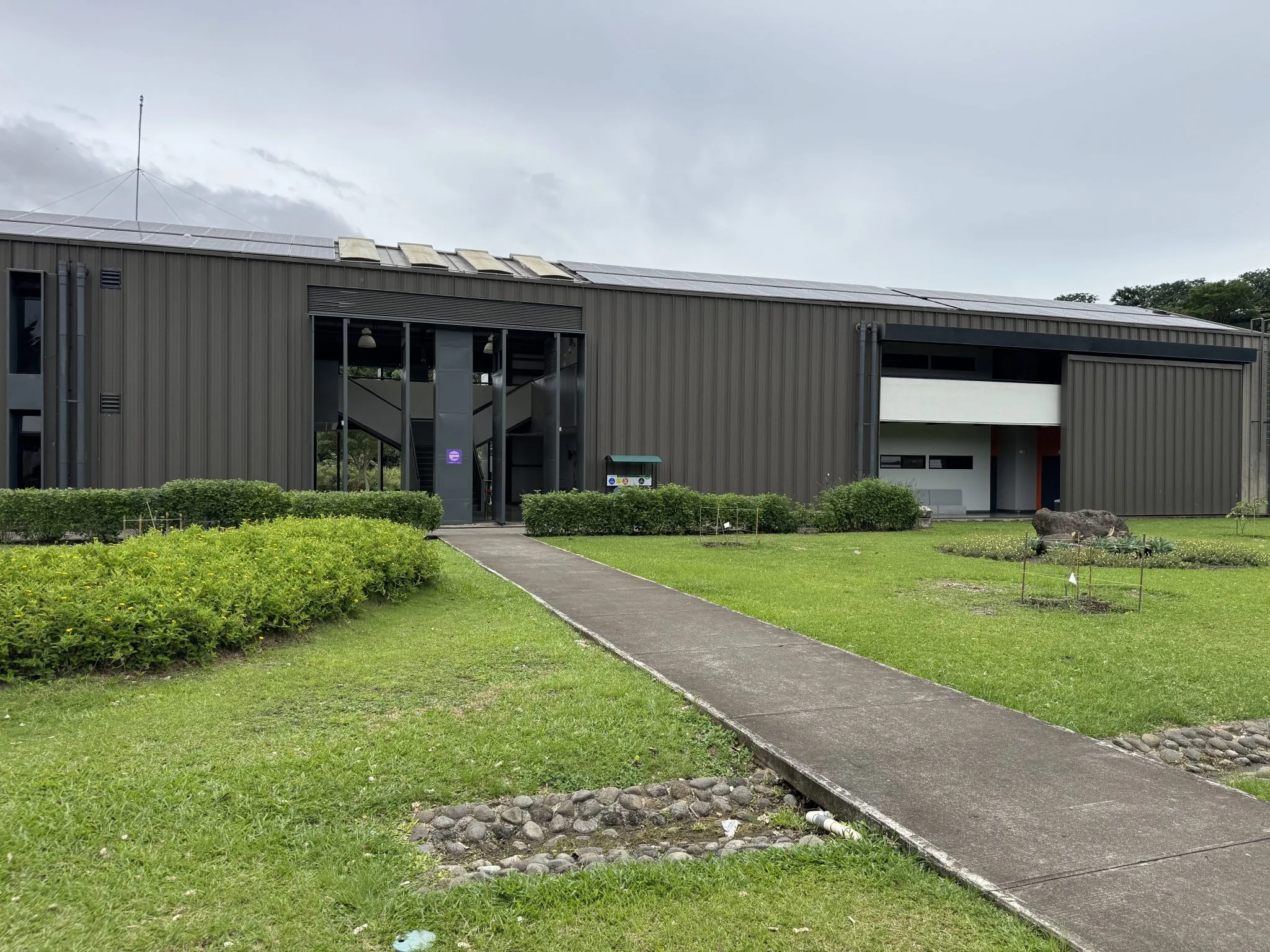 Commercial building with rooftop solar panels